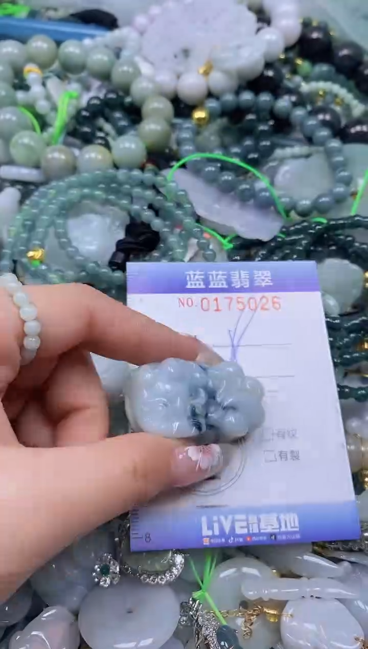 【闪购商品】翡翠颈饰未镶嵌闪购0175026