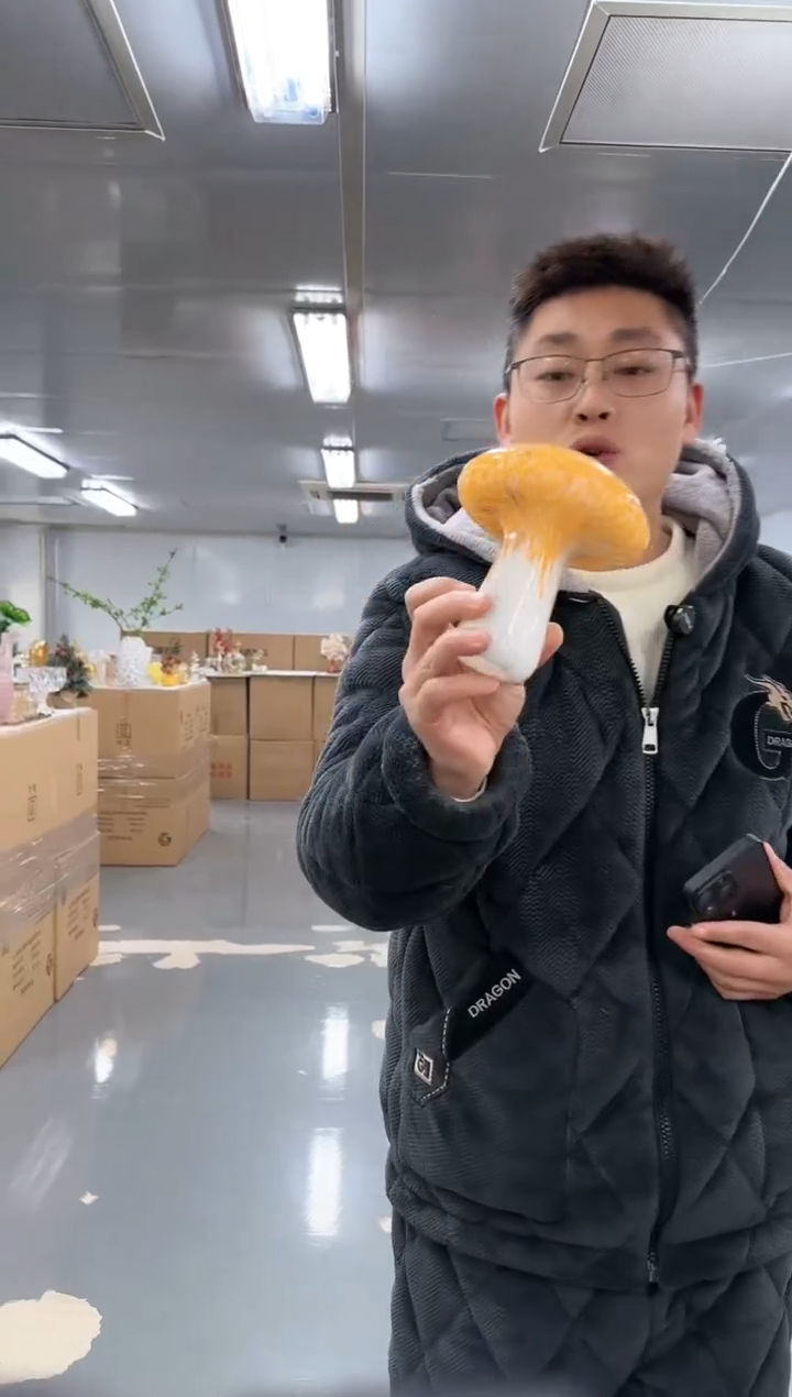 【闪购商品】玻璃小飞0011