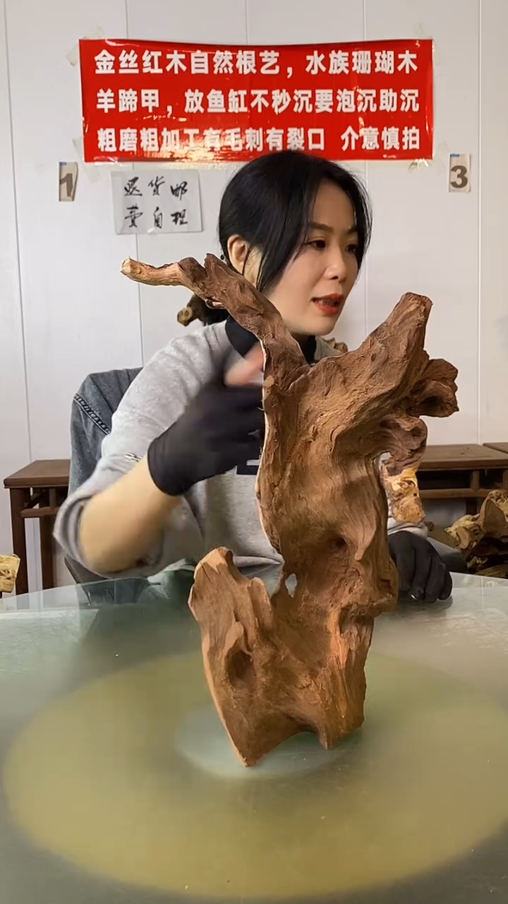 木痴****童金丝红木  羊蹄甲