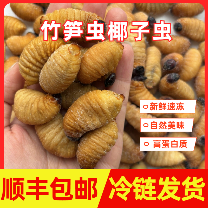 新鲜速冻竹笋虫椰子虫竹子虫高蛋白油炸美味下酒菜昆虫宴农产品