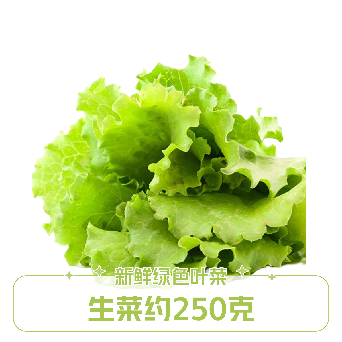 生菜 约250g
