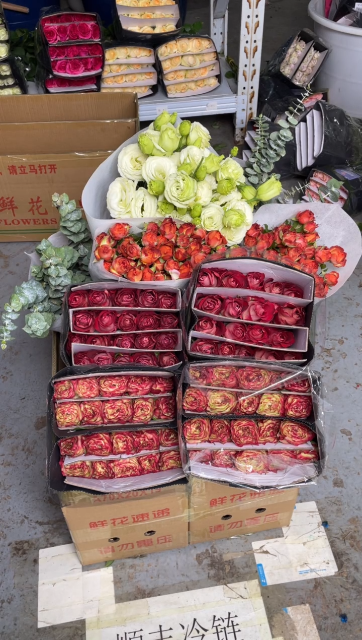 苹果杰克20枝+冰上芭蕾20枝+巧克力10枝+绿桔梗800克+尤加利