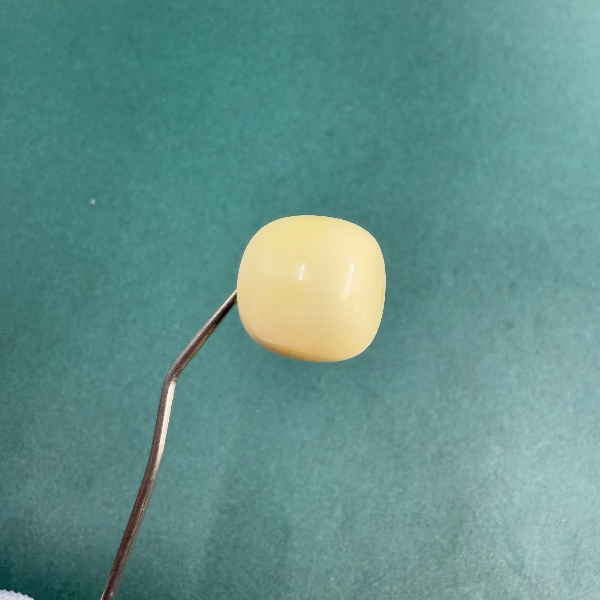 D1582天然猛犸牙单珠 支持鉴定假疑一罚四