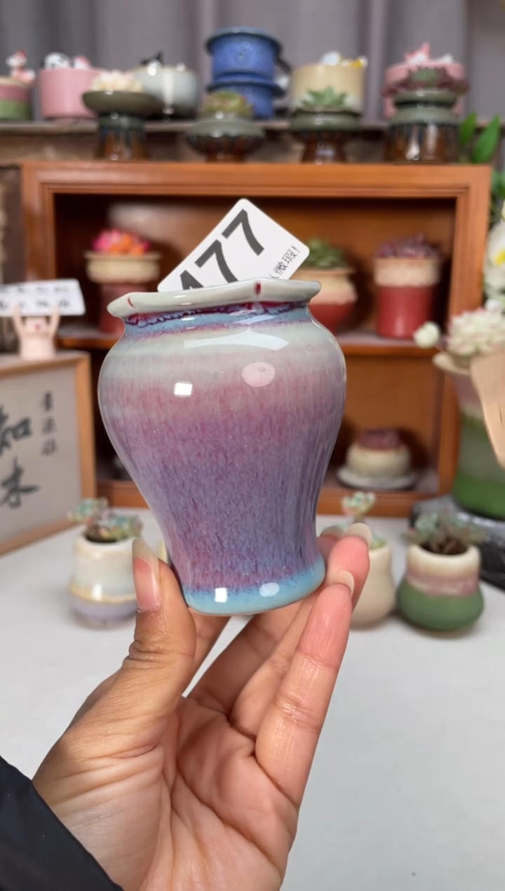 瓷片477小芳直播编号