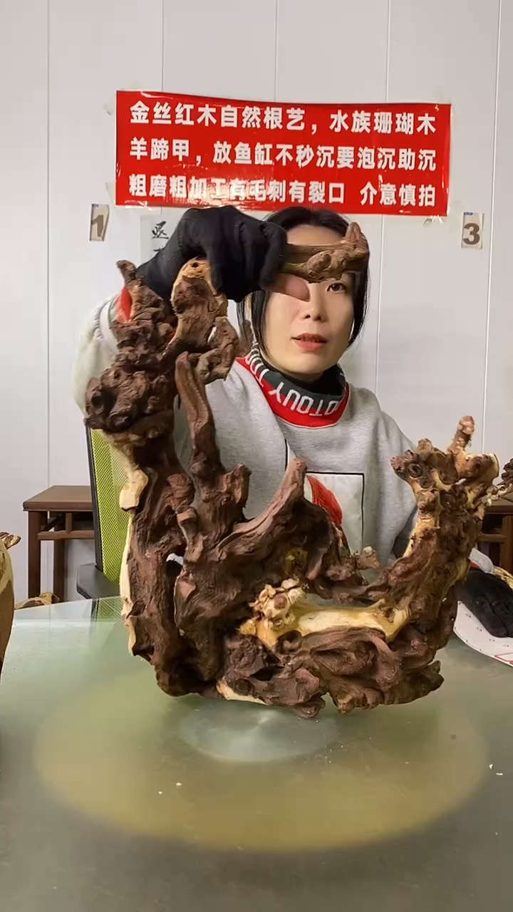 木痴****童金丝红木  羊蹄甲