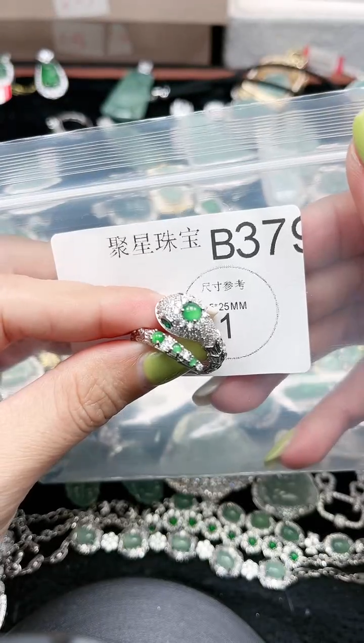 【闪购商品】翡翠颈饰未镶嵌赠皮绳379