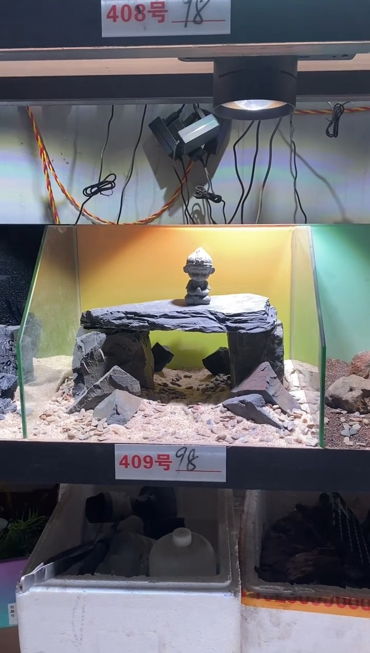 409号鱼缸造景（不含底砂）