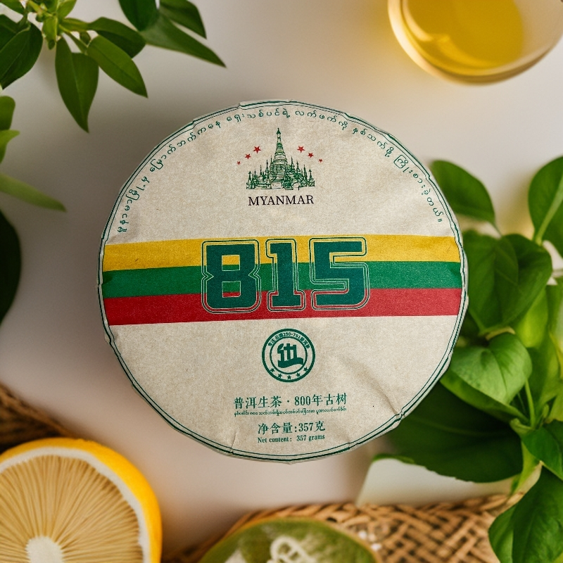 「四特区815」2019年·春/缅甸4特区500年古树/缅甸古树茶