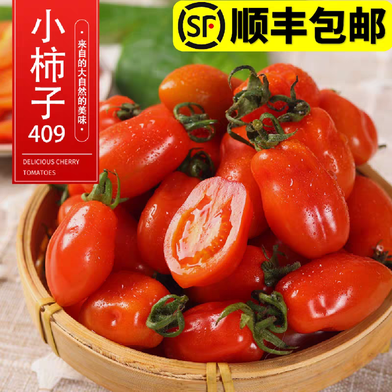 【次日达】爆汁小番茄正宗丹东409小柿子顺丰包邮「北京新发地直发」辽宁省