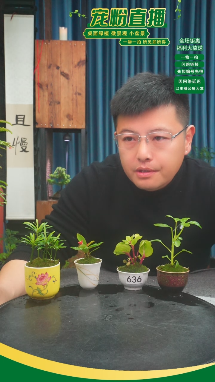 无花朵大****天苔藓微景观636号