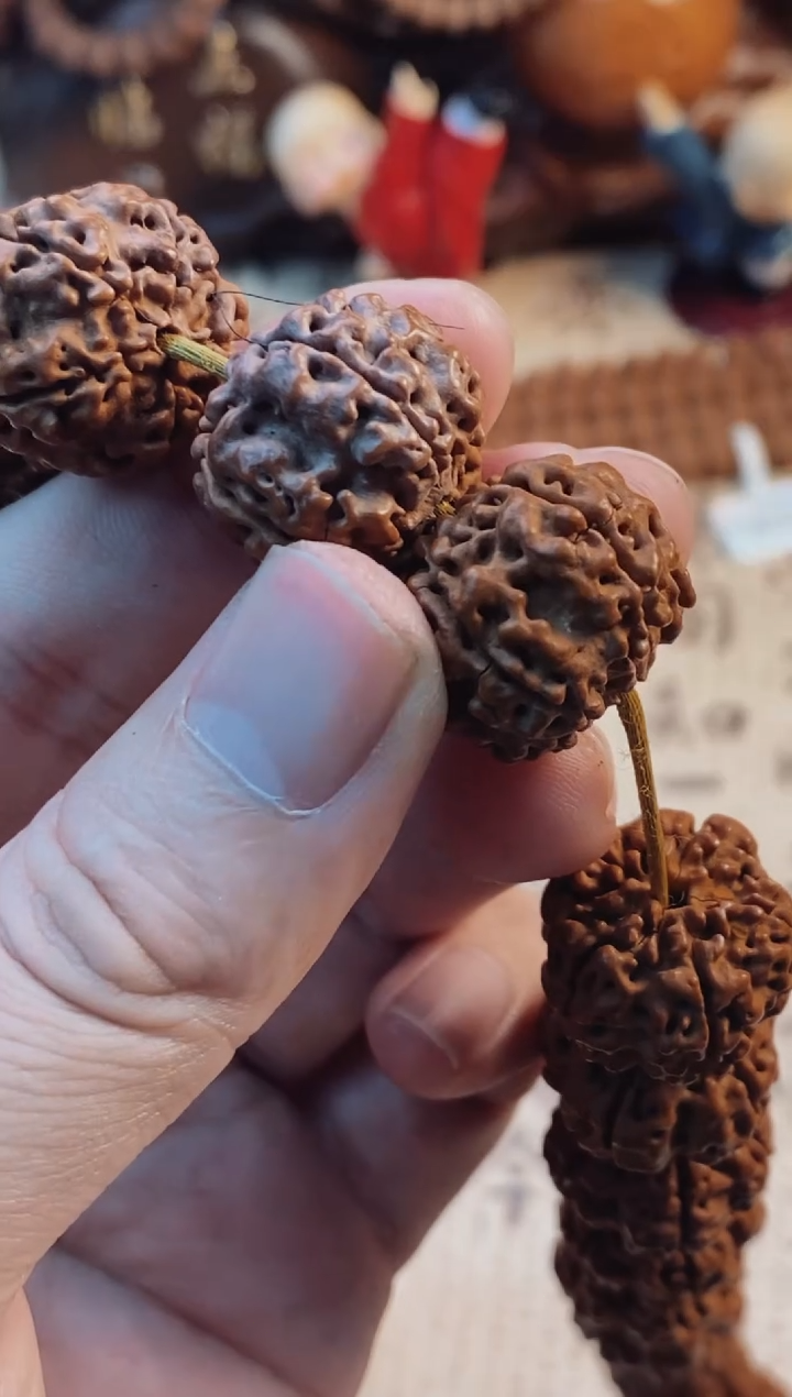 【闪购商品】金刚菩提吊坠一级天选帝王花20-21mm