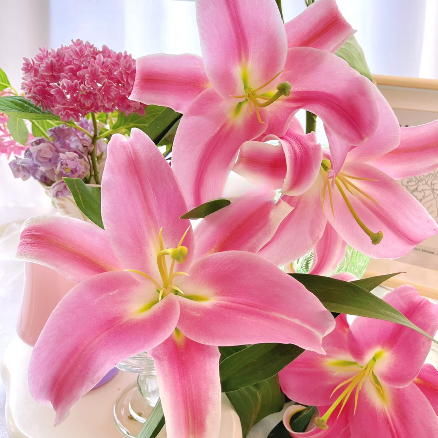 （普拉芬多）粉色大花型香水百合 东北鲜花原产 黑吉辽蒙 顺丰包邮