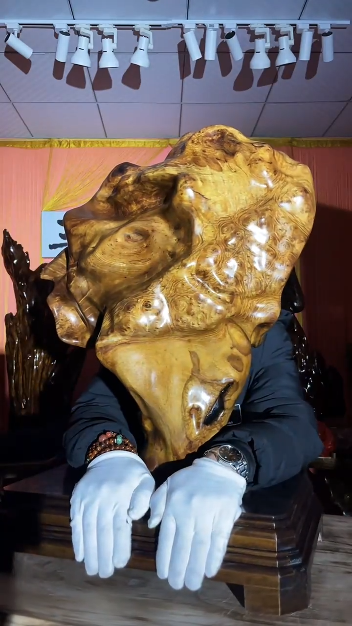 金丝楠猜*看金丝楠木小叶桢楠