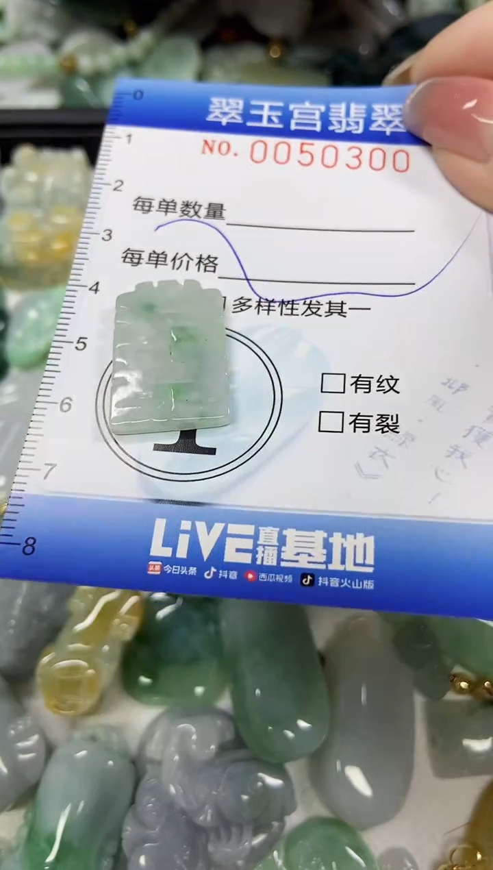 【闪购商品】翡翠颈饰未镶嵌闪购0050300