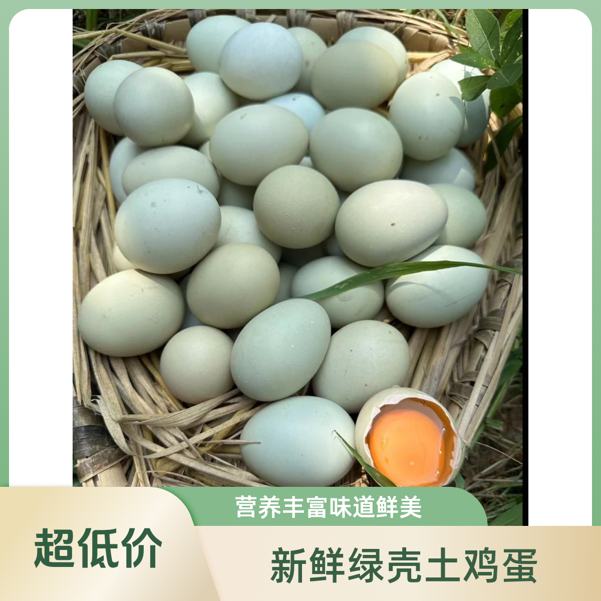 江人才家养美食绿壳土鸡蛋全红婵于北辰