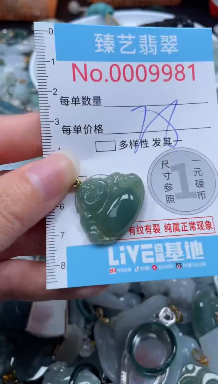 颈饰未镶嵌翡翠9981