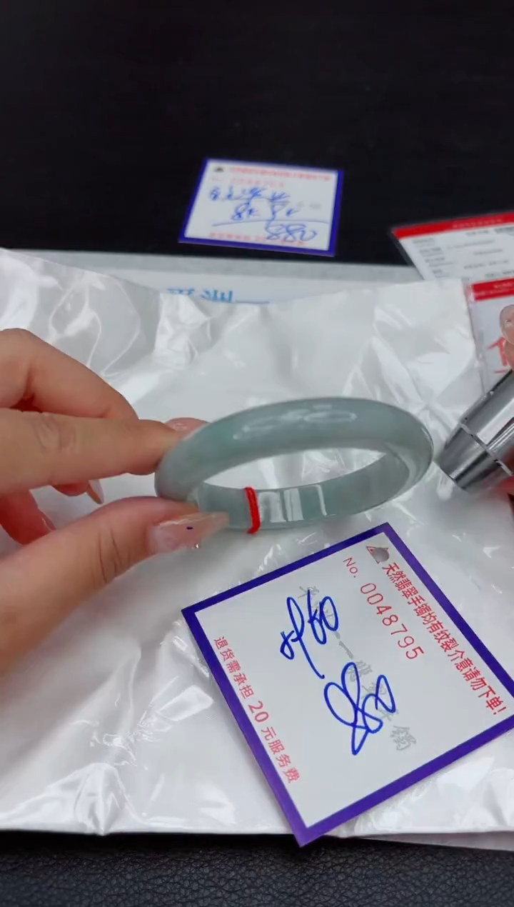 未镶嵌手镯翡翠1