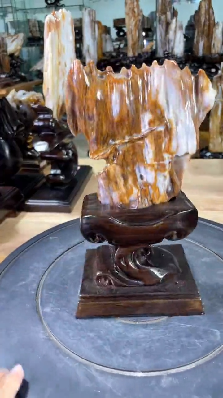 【闪购商品】硅化玉珠宝奇石未镶嵌258