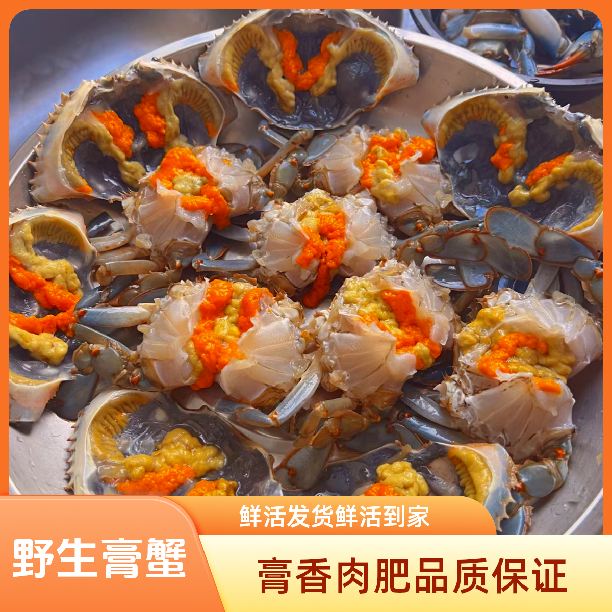 【活发包活】全母青膏蟹海蟹小规格/不要放冰箱/20°阴凉存放/杭州发货/次日达/凭开箱视频享受包活售后/克重
