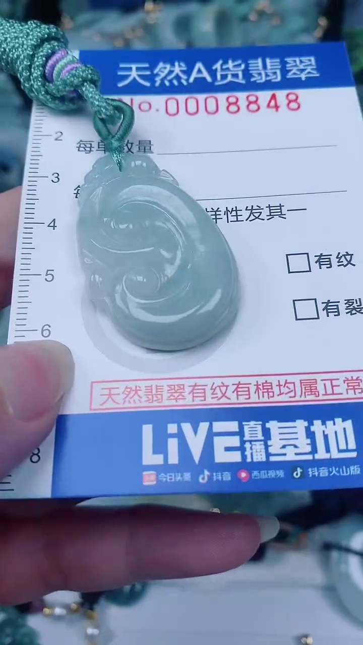 翡翠未镶嵌颈饰00008848