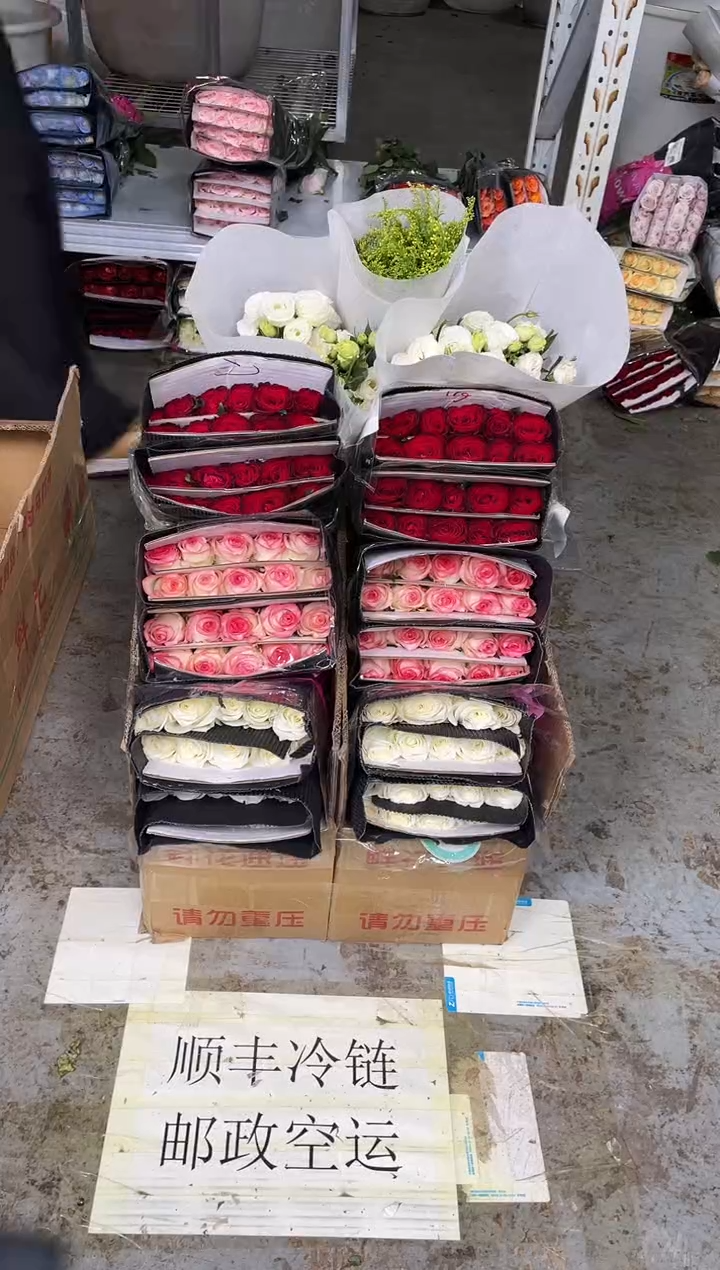 骄傲20枝+艾沙20枝+探险家20枝+白色洋桔梗400克+黄莺