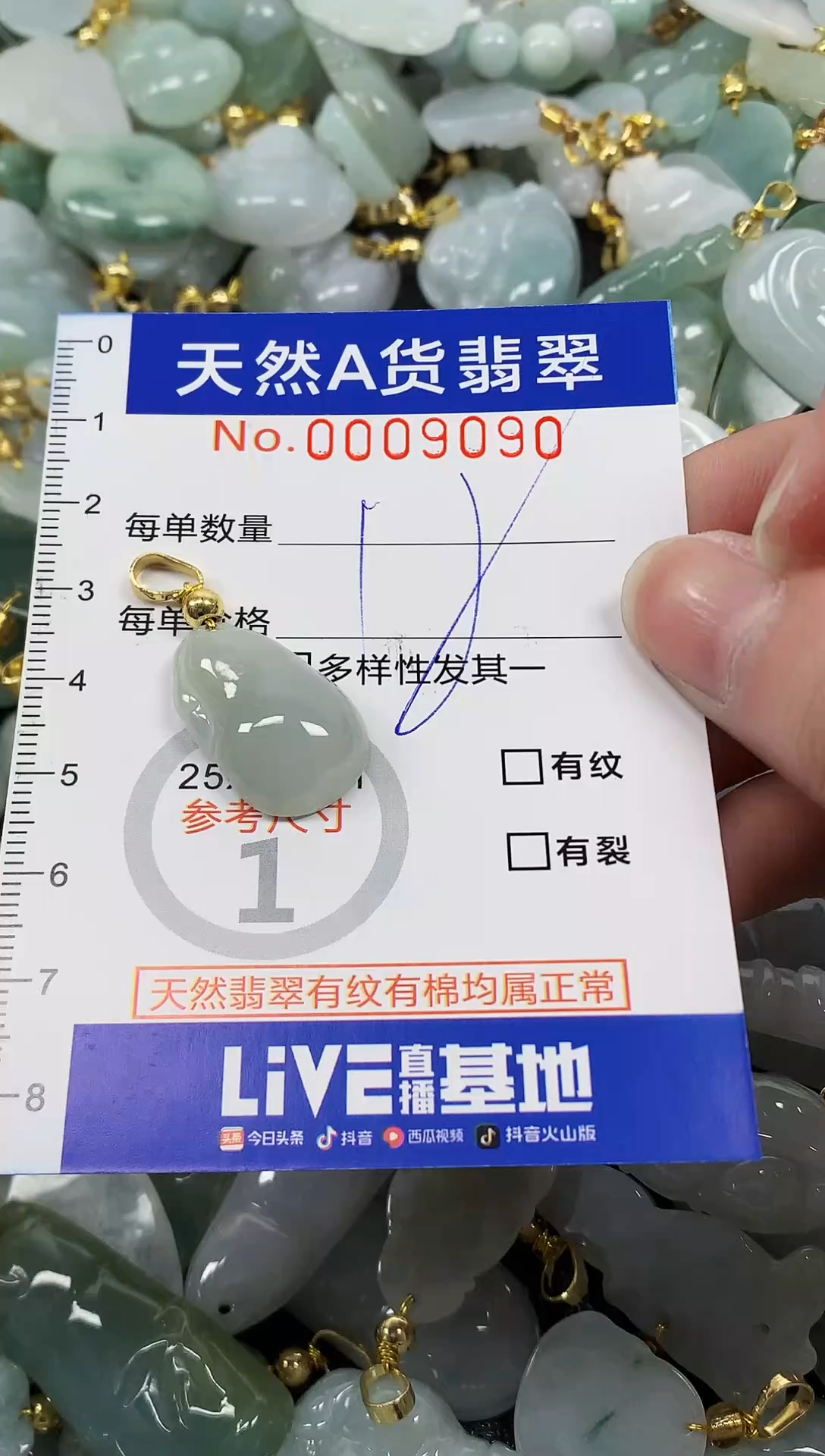 颈饰未镶嵌翡翠纯天然a货翡翠