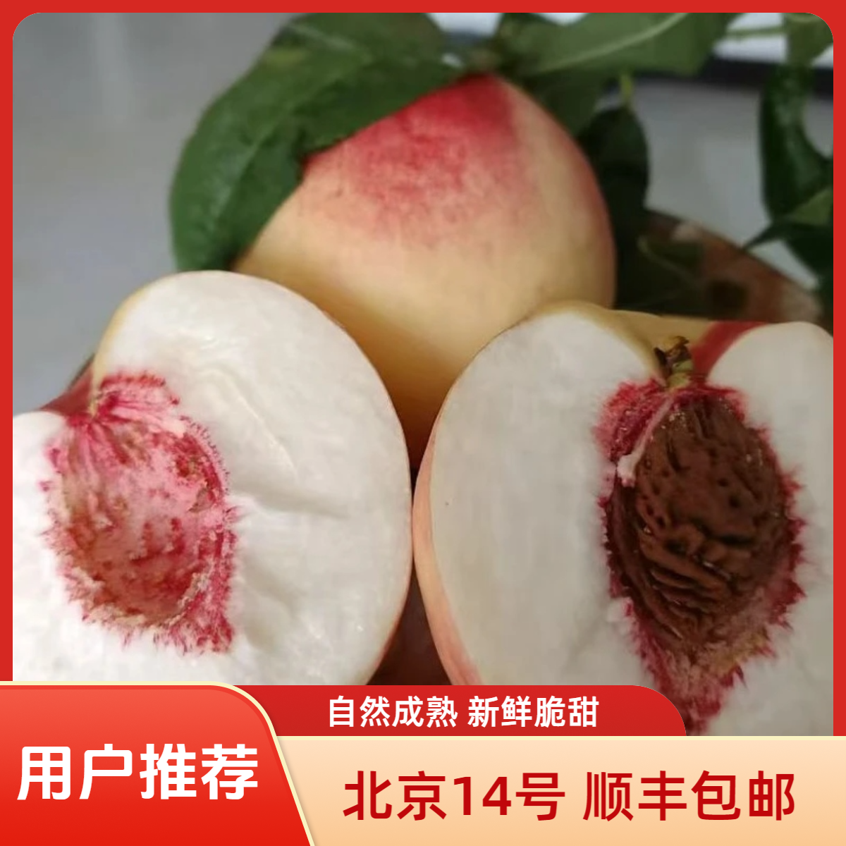 北京14号离核脆桃硬桃新鲜现摘果园直发