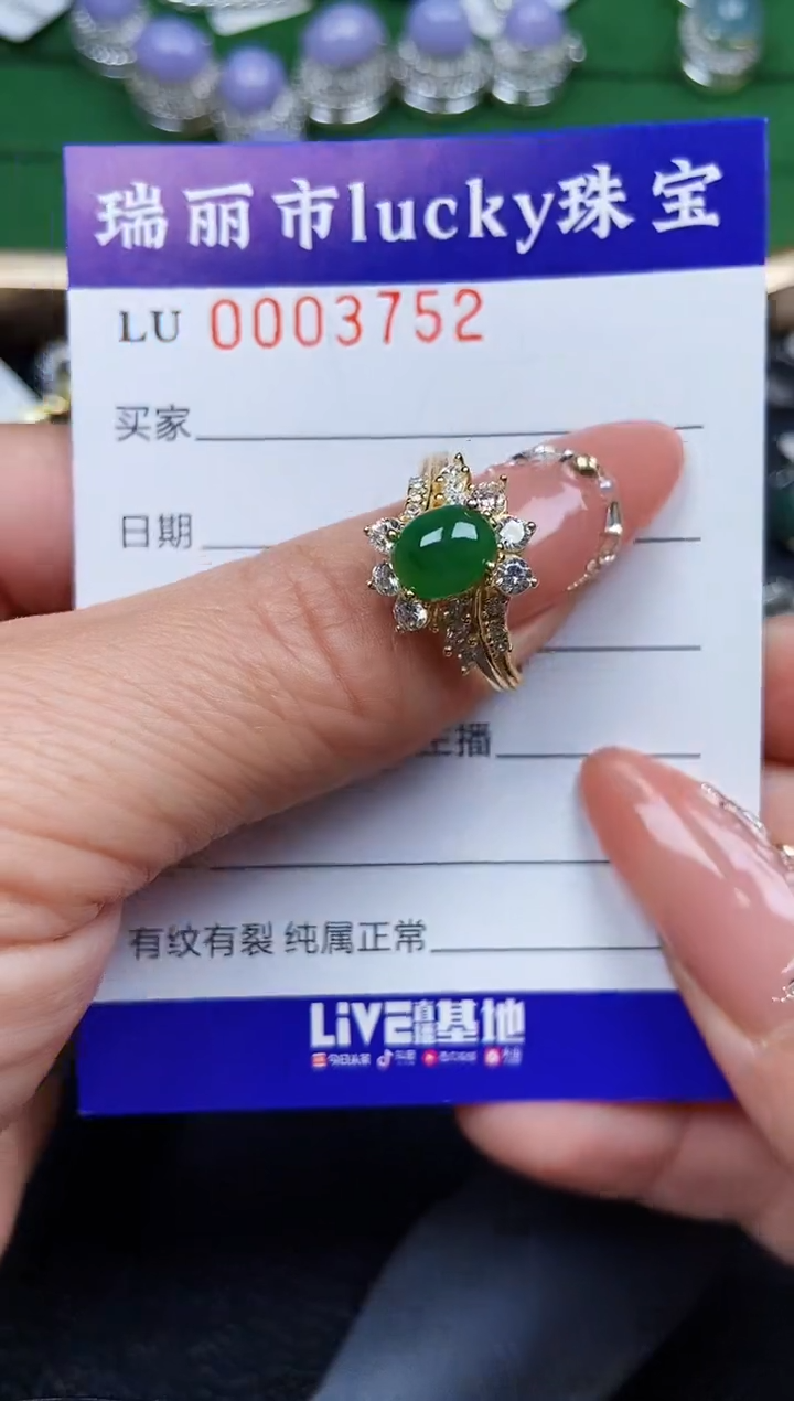 【闪购商品】翡翠颈饰银S925镶嵌3752