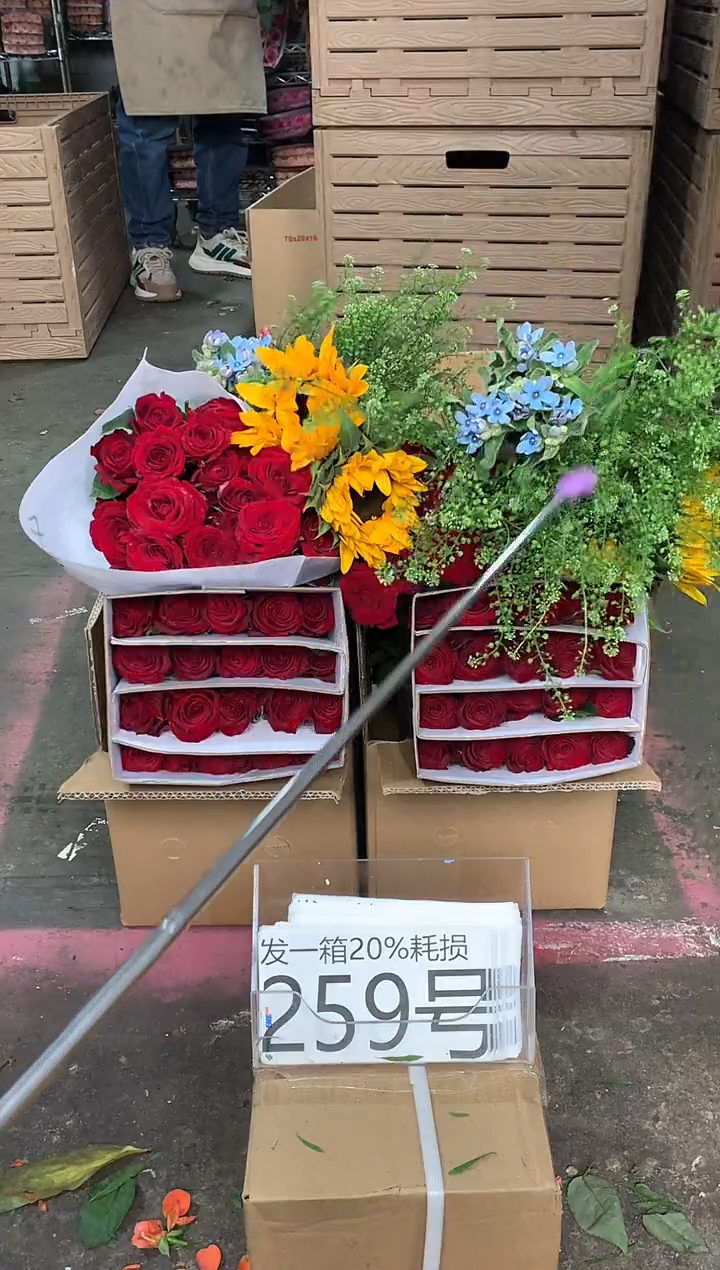 259号♥含20%耗损发一箱