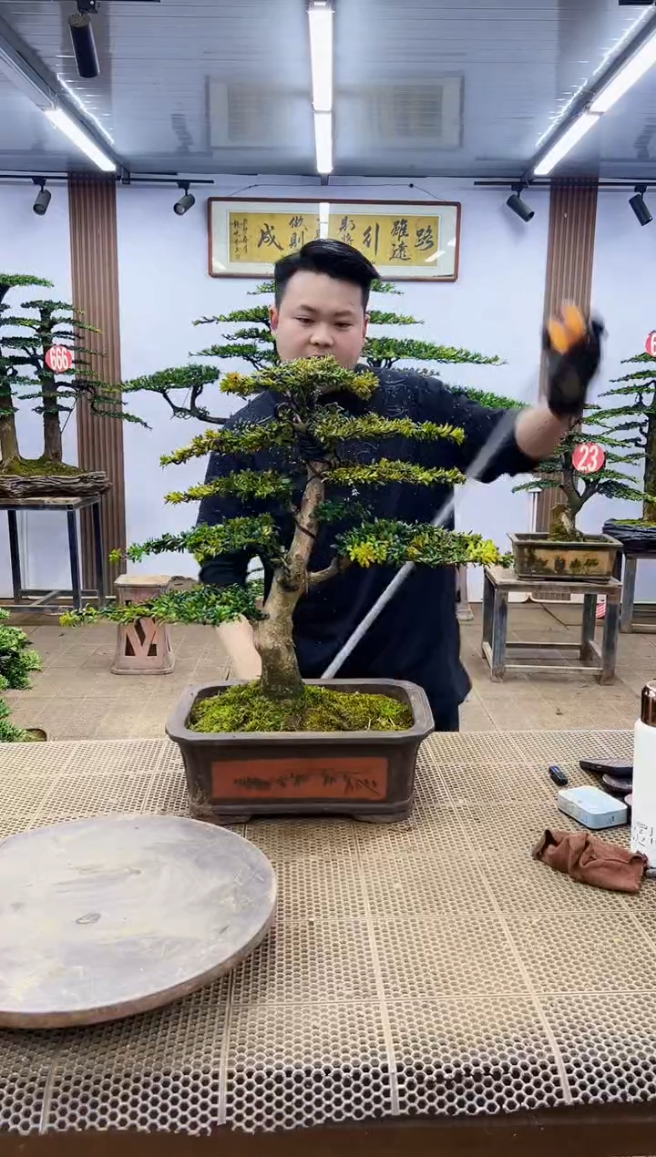 【闪购商品】0000000