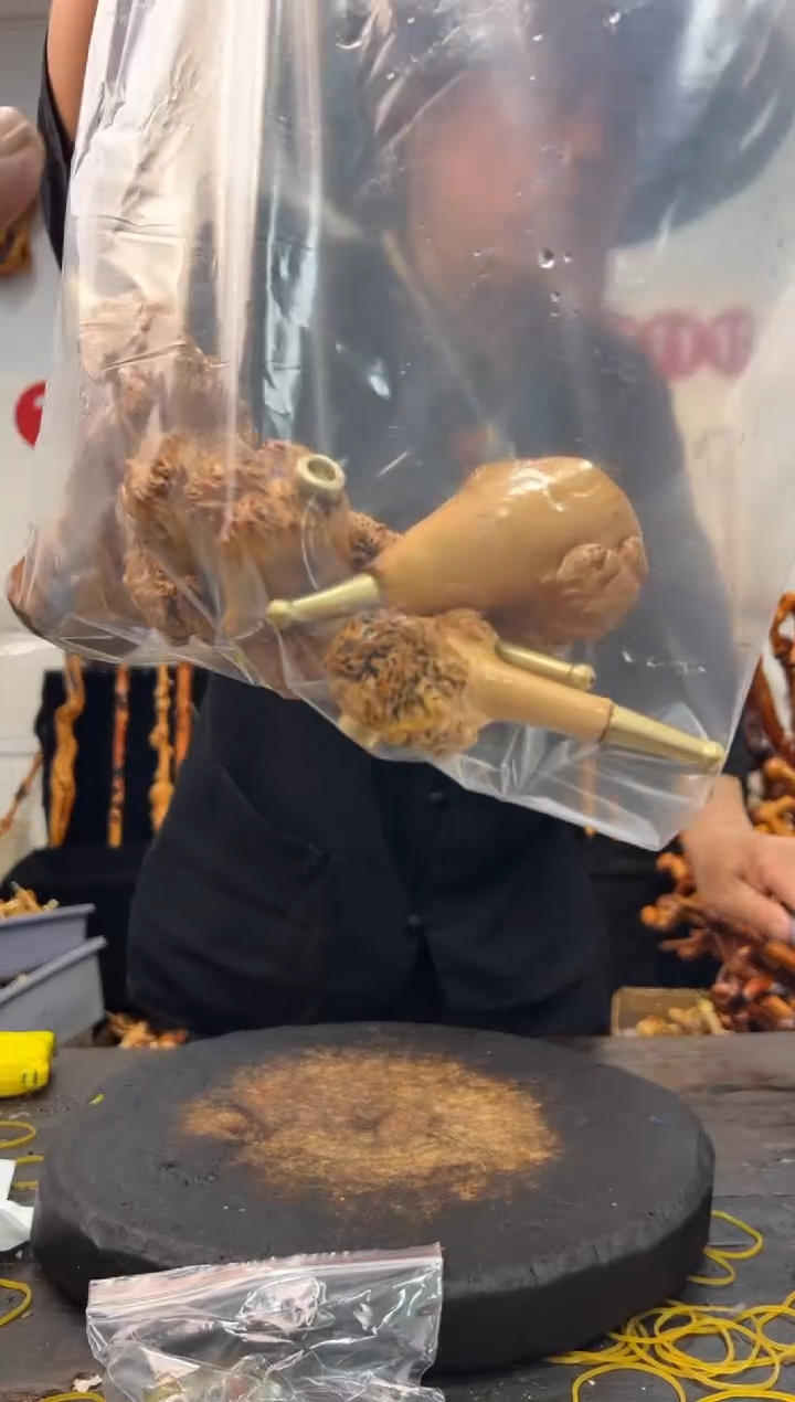 黑果木其他黑果木034