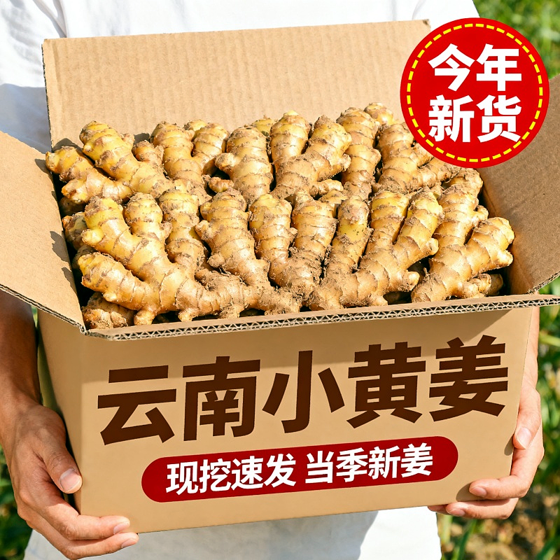 3斤批发】云南小黄姜现挖仔姜老姜新姜月子姜农家高山种植辛辣无比