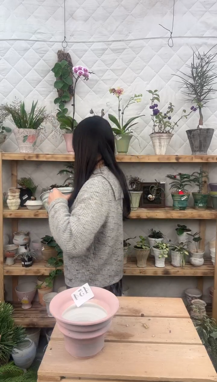 无花朵编号 454 景德镇手工盆