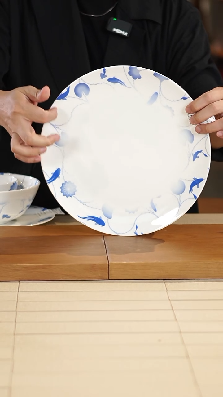 忘返系列-12盘（白）