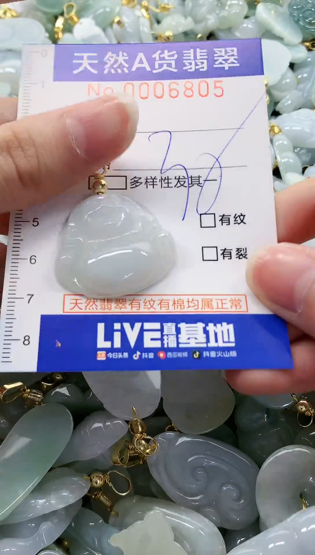 颈饰未镶嵌翡翠纯天然a货翡翠