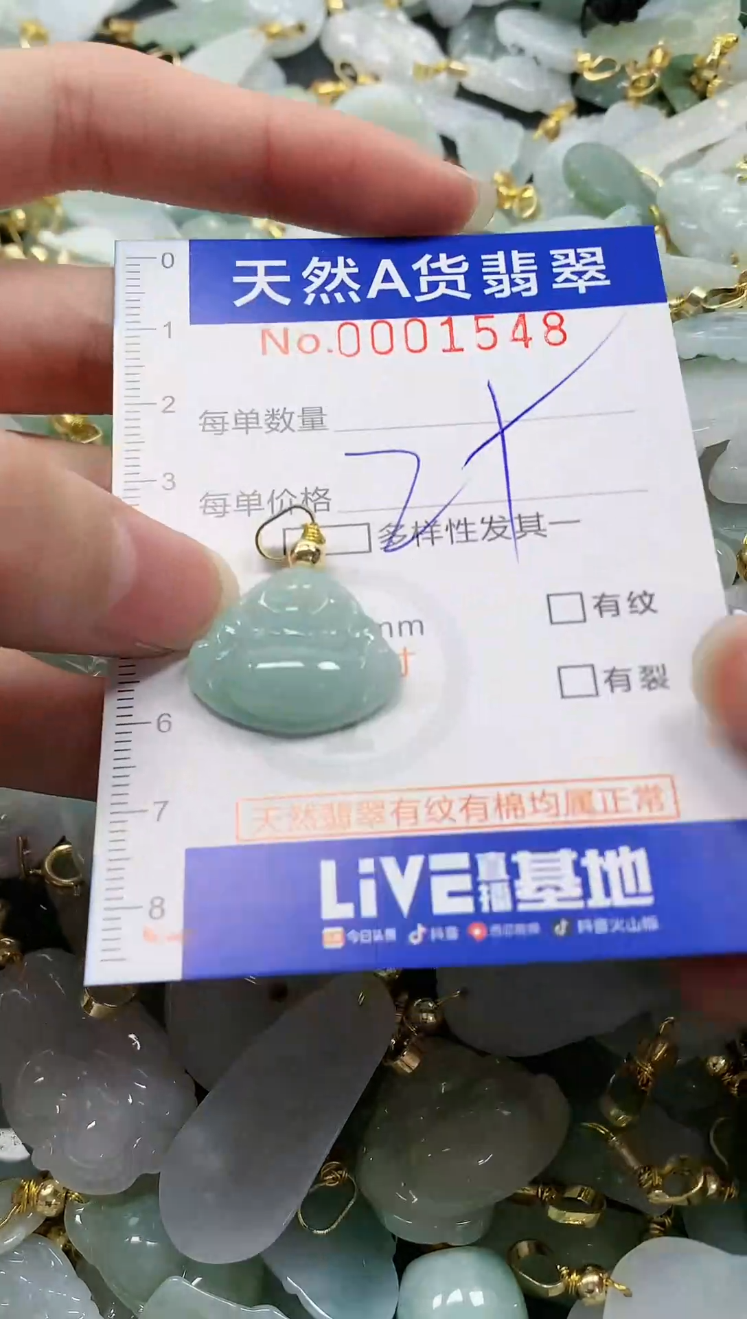 颈饰未镶嵌翡翠纯天然a货翡翠