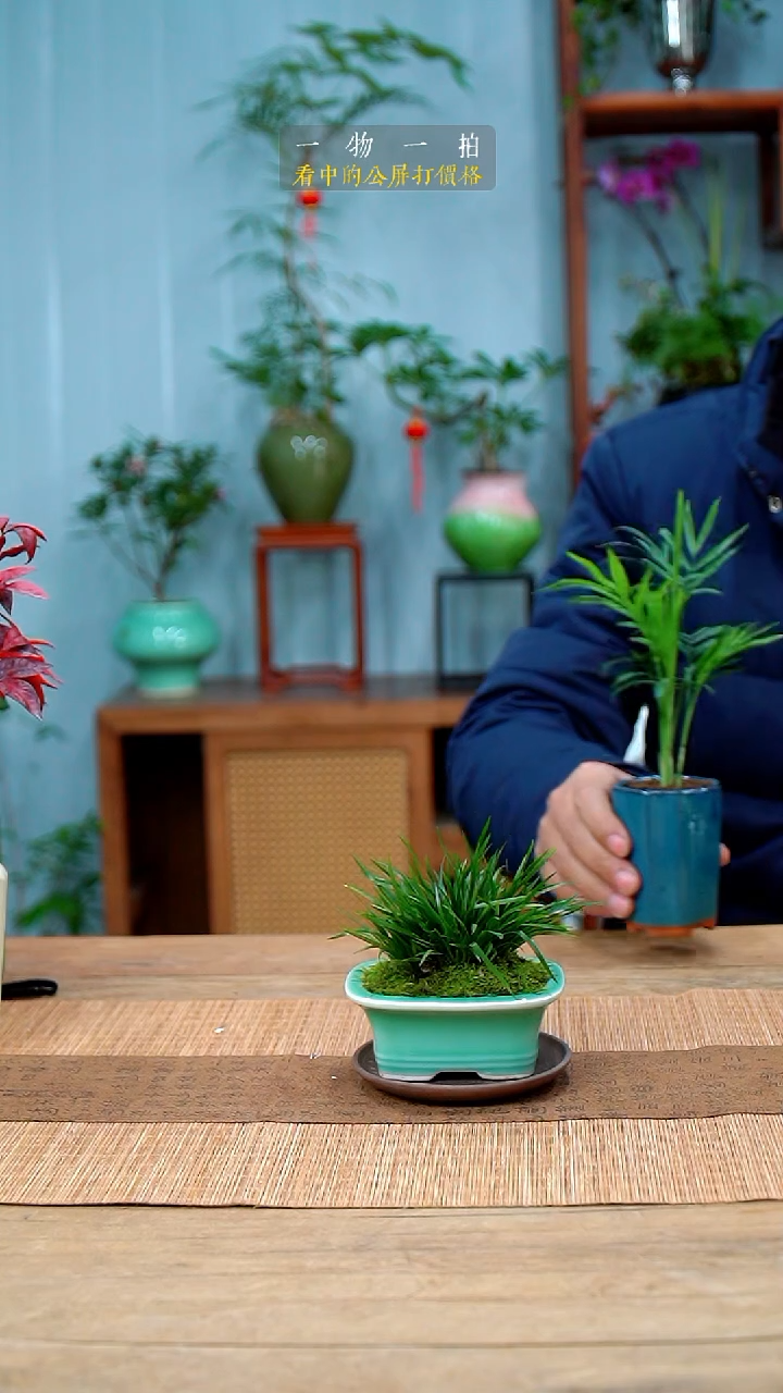 完全开放合*.263菖蒲