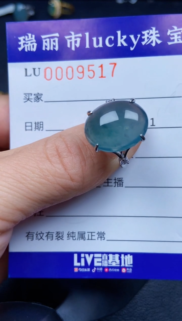 【闪购商品】翡翠颈饰银S925镶嵌9517