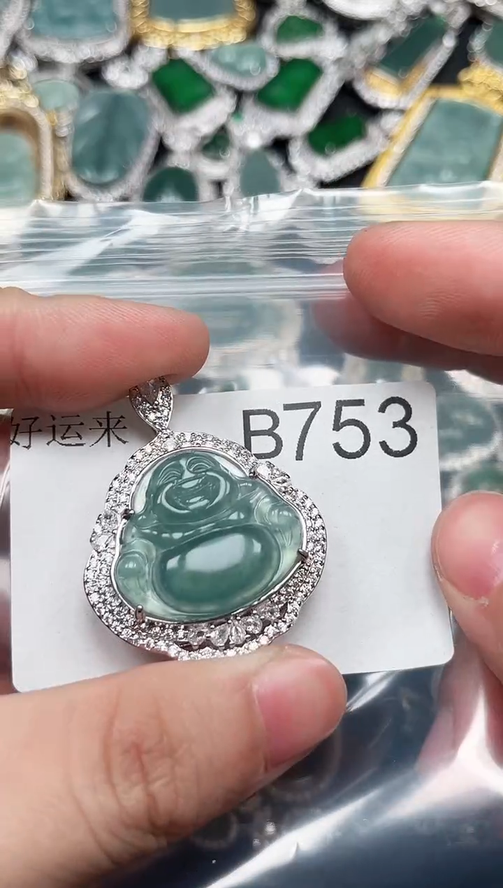 【闪购商品】翡翠颈饰未镶嵌送皮绳753