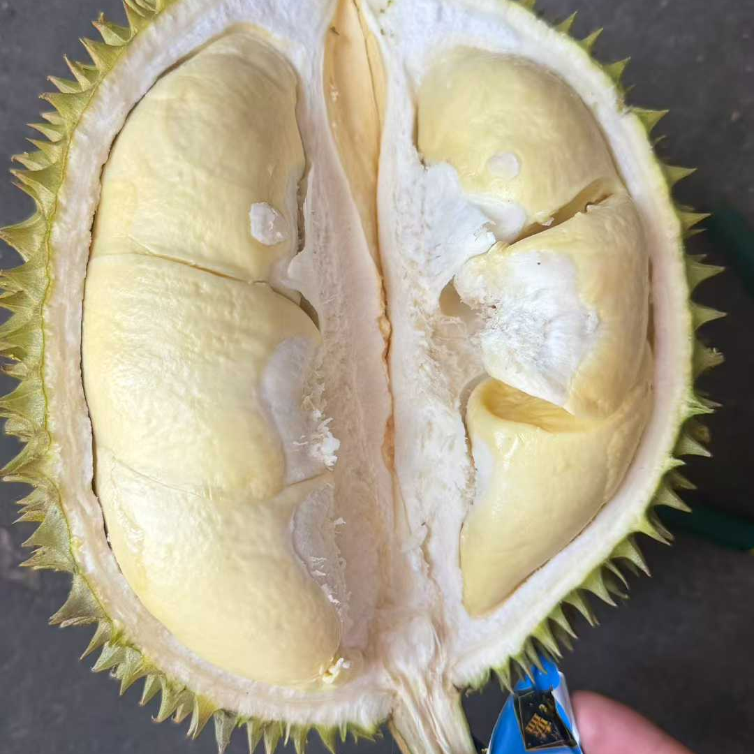 Z【顺丰】一物一拍奶香猫榴莲 核大收到判断生熟吃 路上干耗10%左右