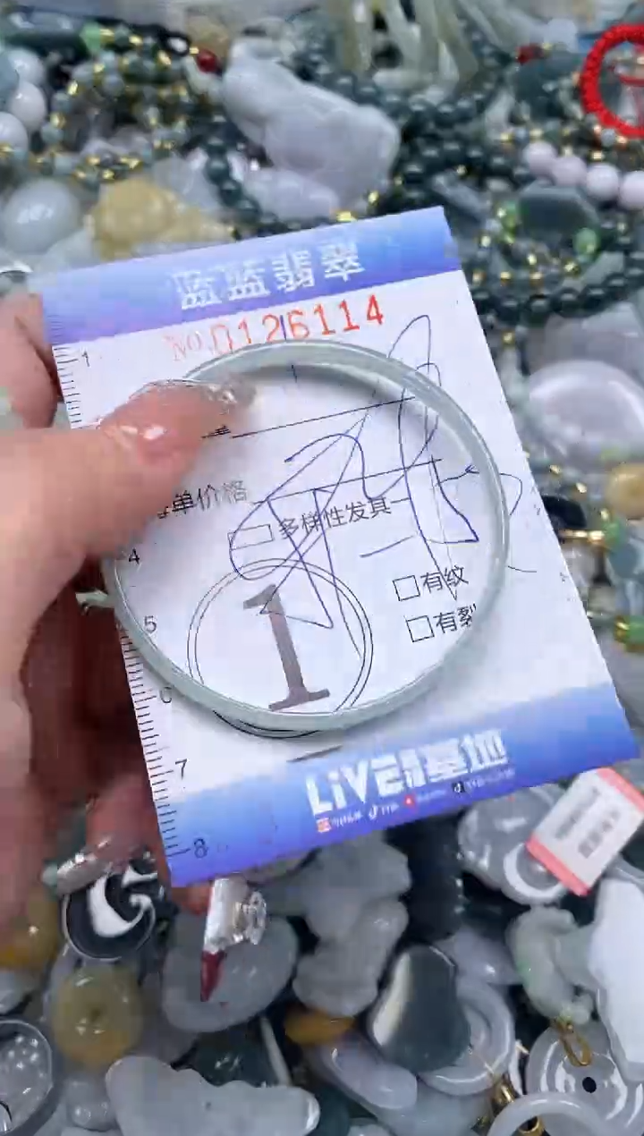 【闪购商品】翡翠颈饰未镶嵌闪购0126114多样性发其一