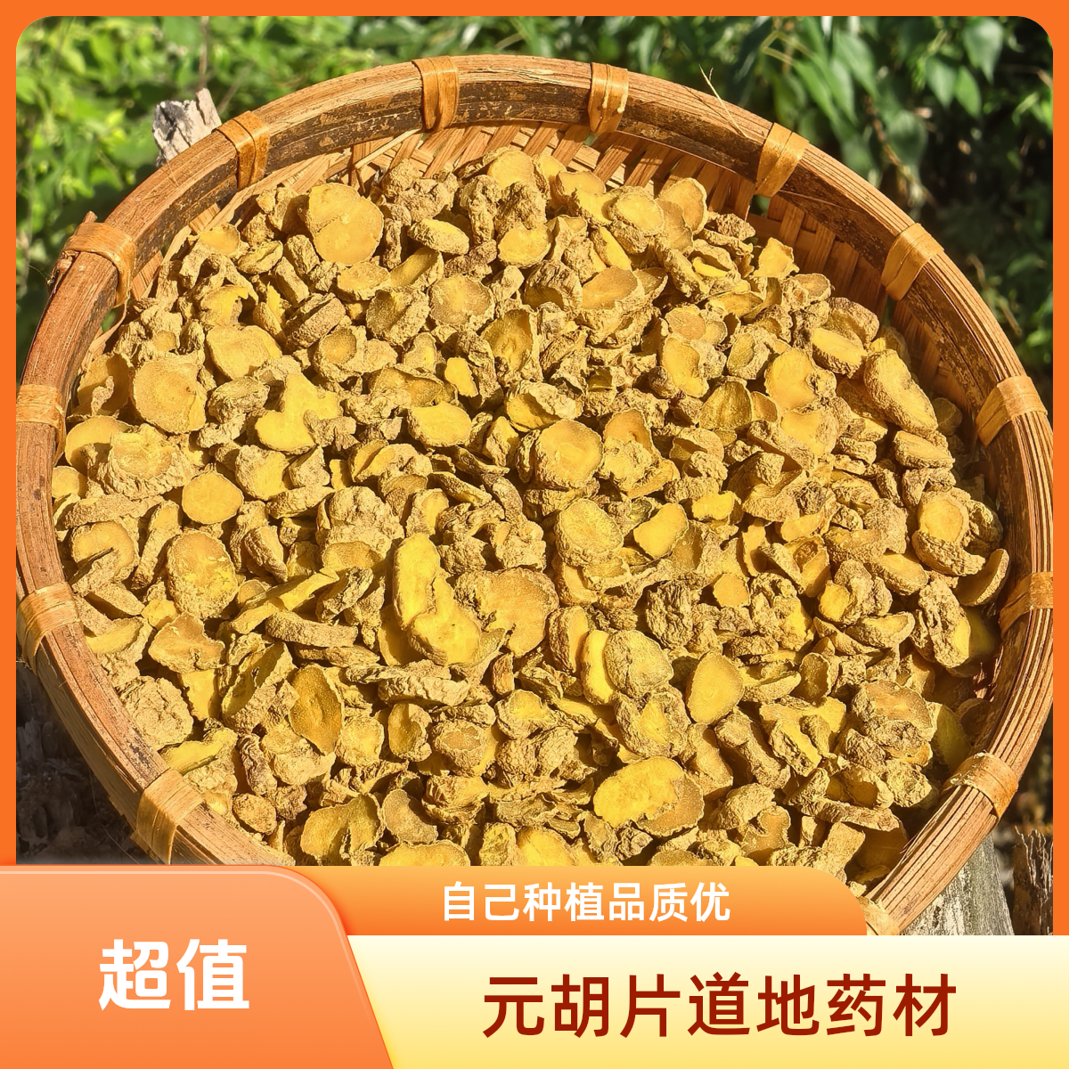 延胡索（元胡）浙江道地药材，自己种植加工精选片子