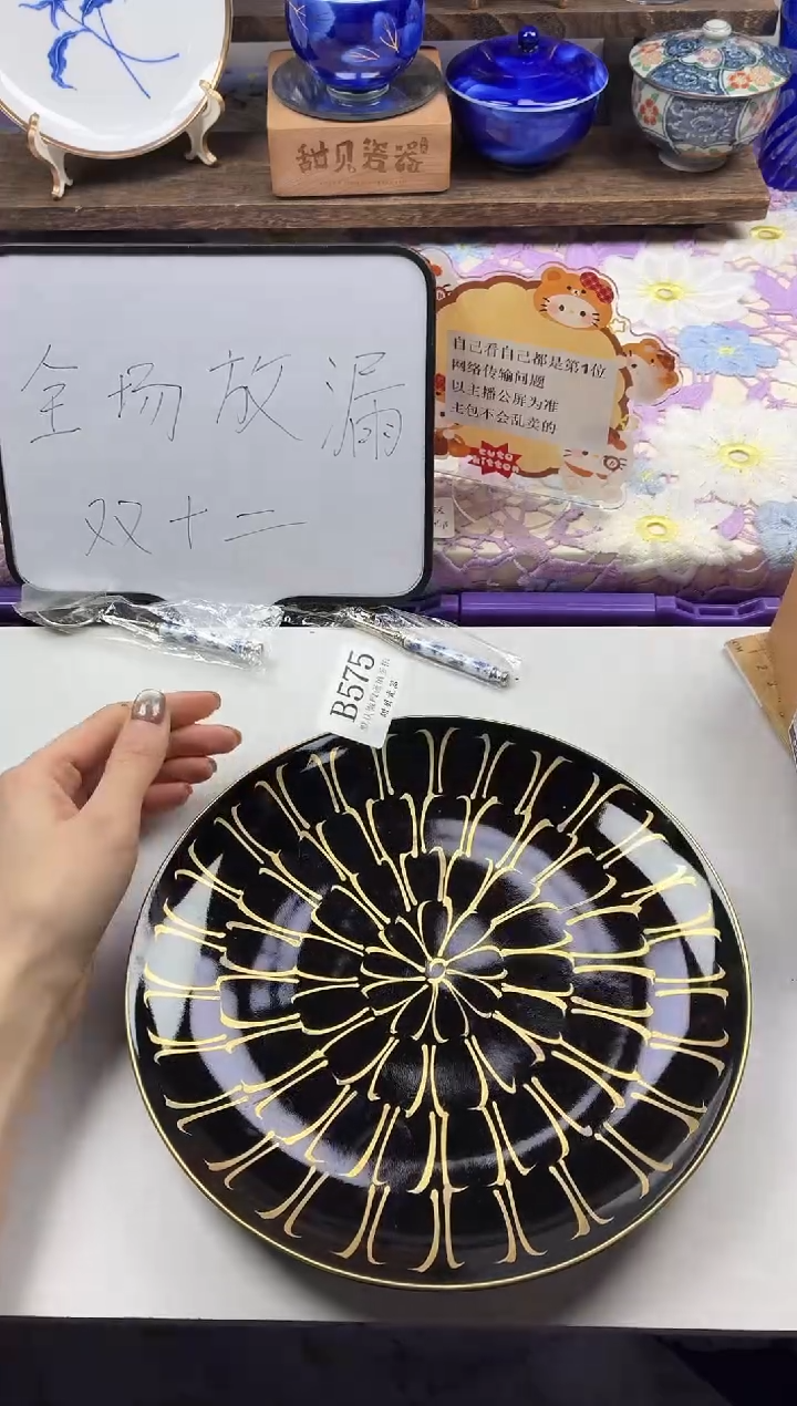 瓷片                B575