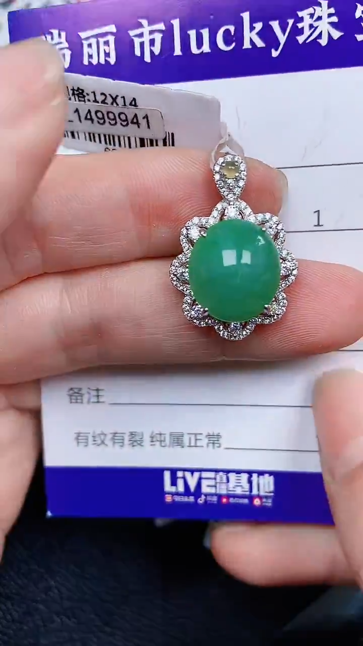 颈饰银S925镶嵌翡翠497