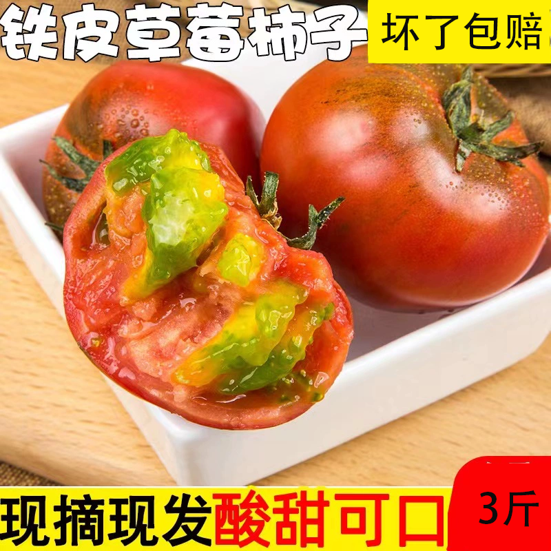 东北碱地铁皮柿子新鲜番茄自然熟生吃产地现摘草莓柿子