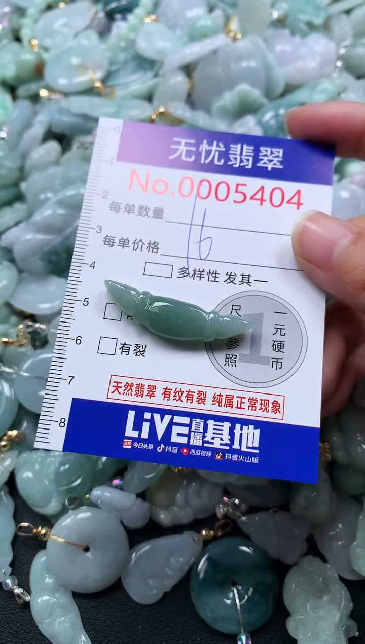 颈饰未镶嵌翡翠5404