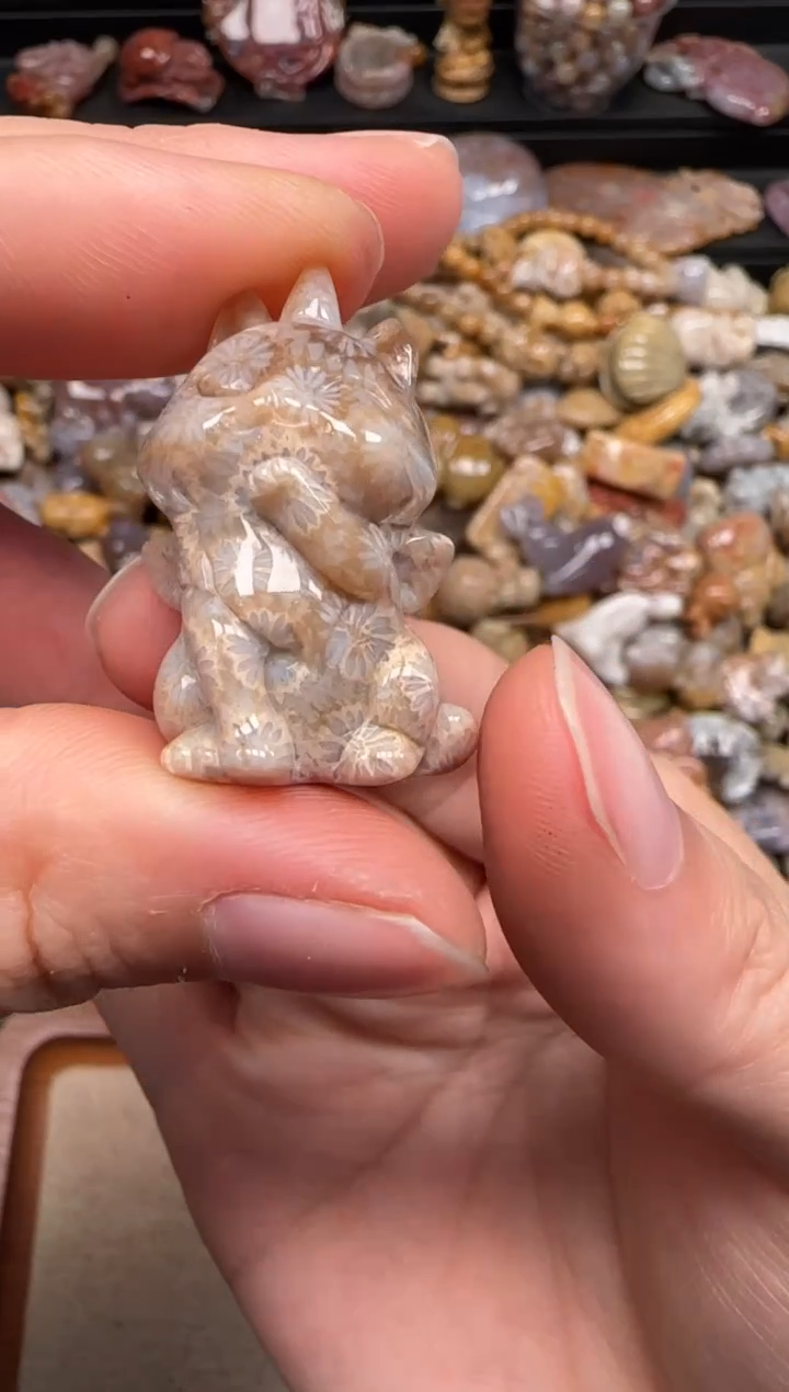 【闪购商品】硅化珊瑚（珊瑚玉）未镶嵌颈饰005