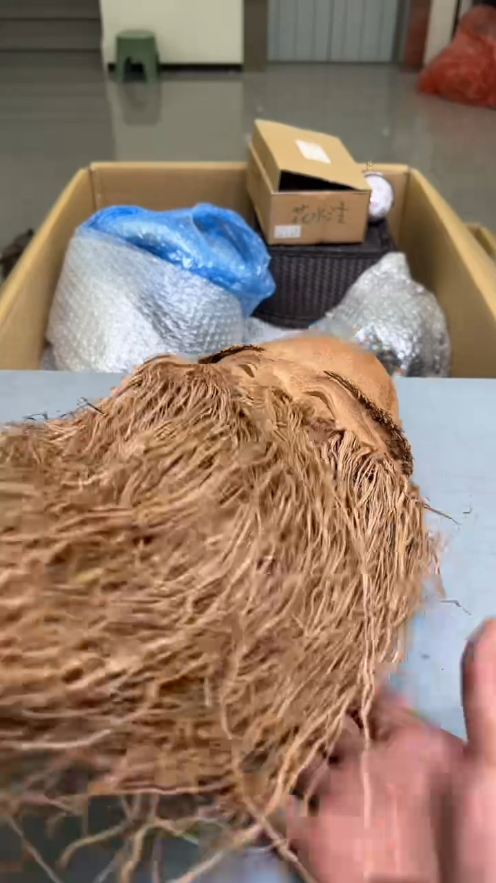 阳****蟹紫砂茶具紫砂茶具