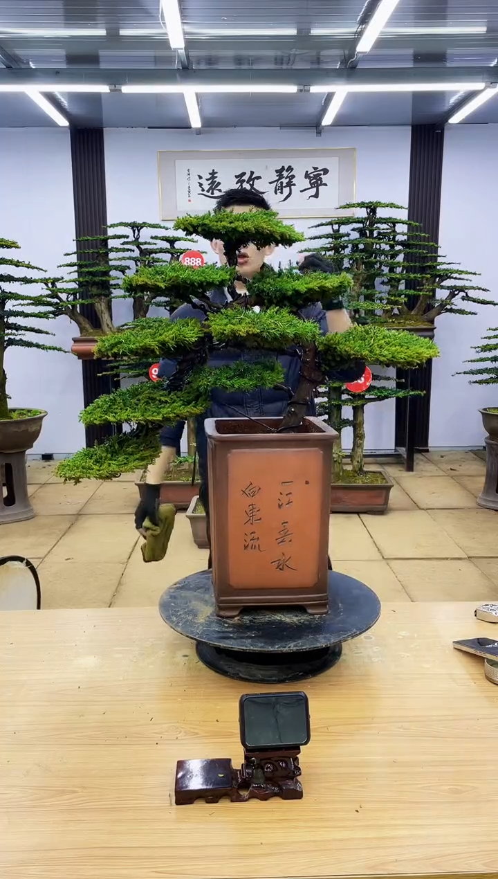 【闪购商品】0000000000