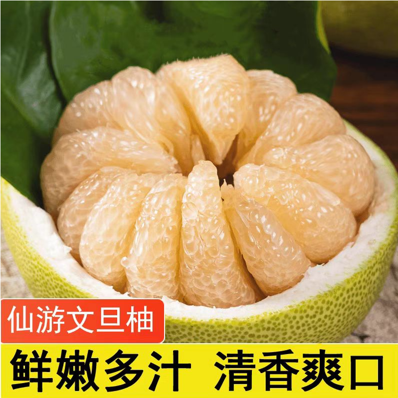 福建仙游度尾文旦柚老树果现摘新鲜多汁红心正宗度尾老树文旦柚